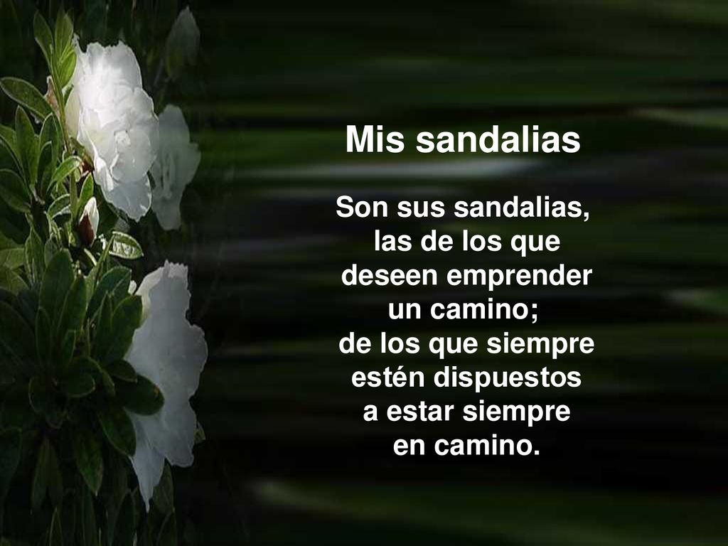 Mis sandalias Son sus sandalias, las de los que deseen emprender