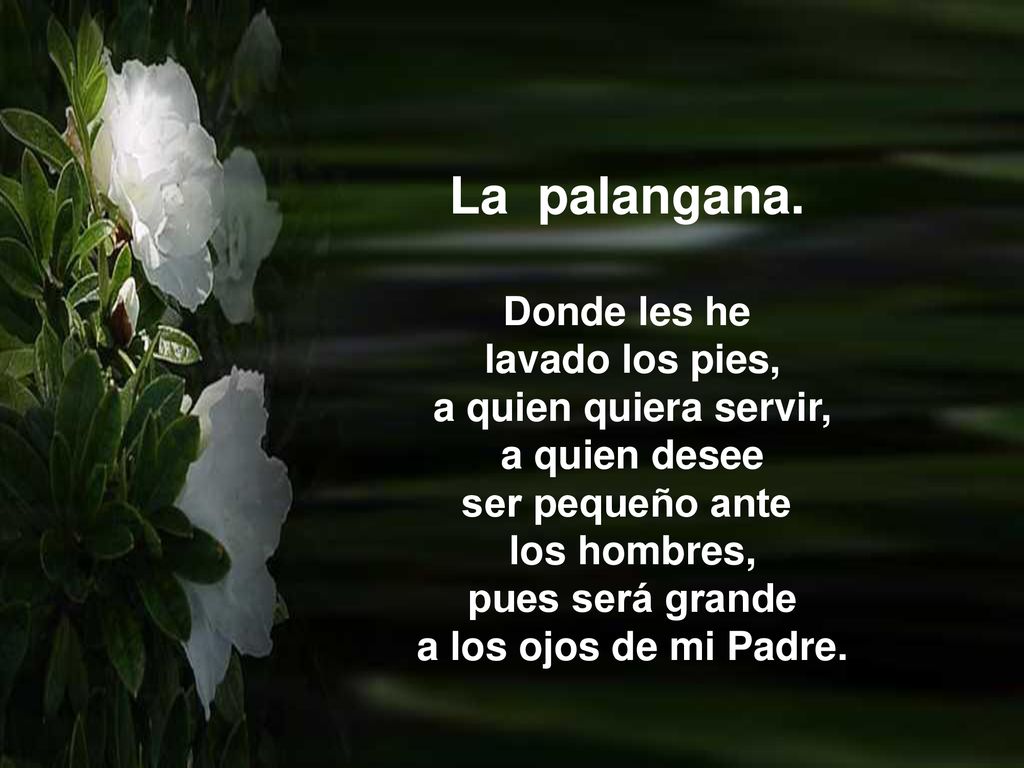 La palangana. Donde les he lavado los pies, a quien quiera servir,