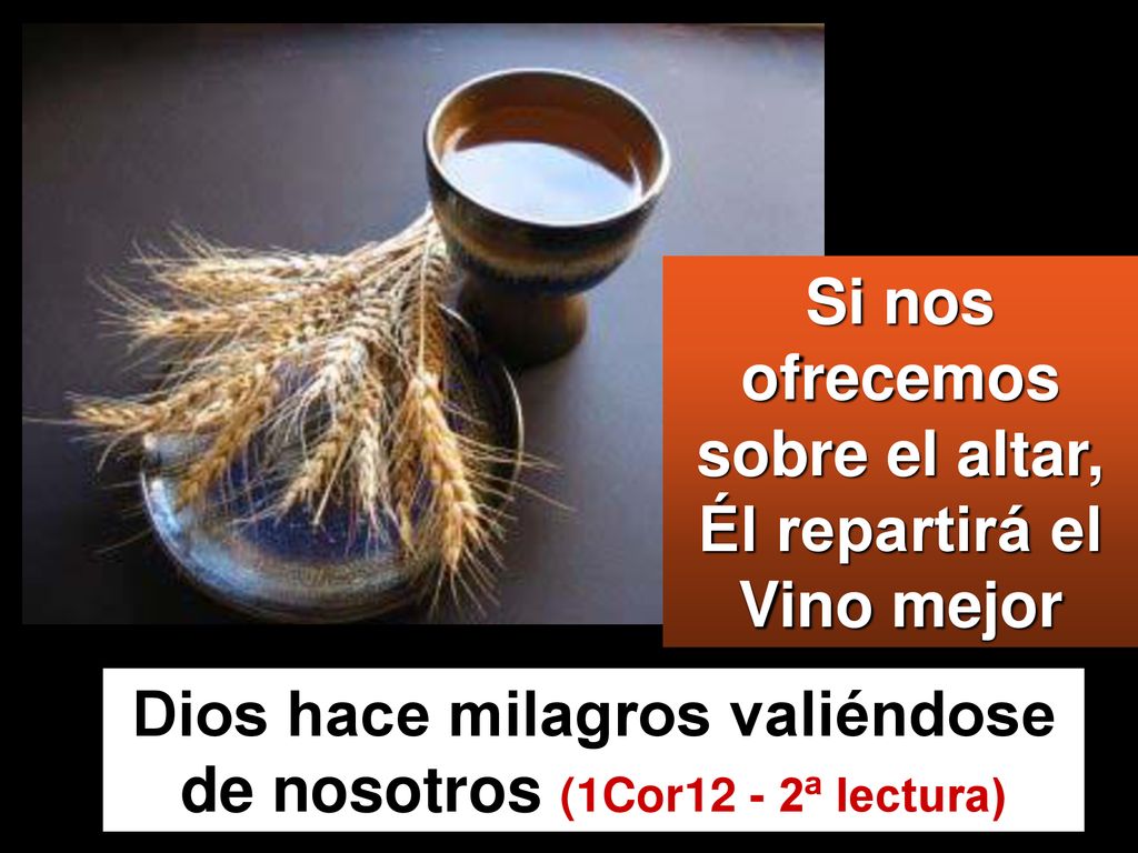 Si nos ofrecemos sobre el altar, Él repartirá el Vino mejor