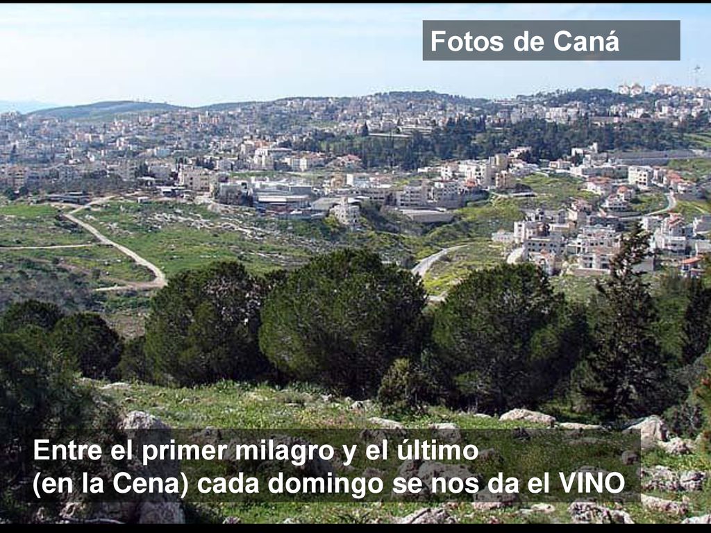 Fotos de Caná Entre el primer milagro y el último (en la Cena) cada domingo se nos da el VINO
