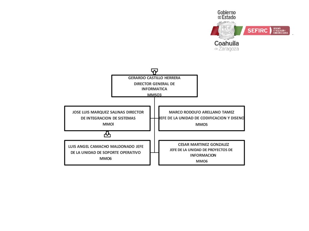 DE INTEGRACION DE SISTEMAS JEFE DE LA UNIDAD DE CODIFICACION Y DISENO