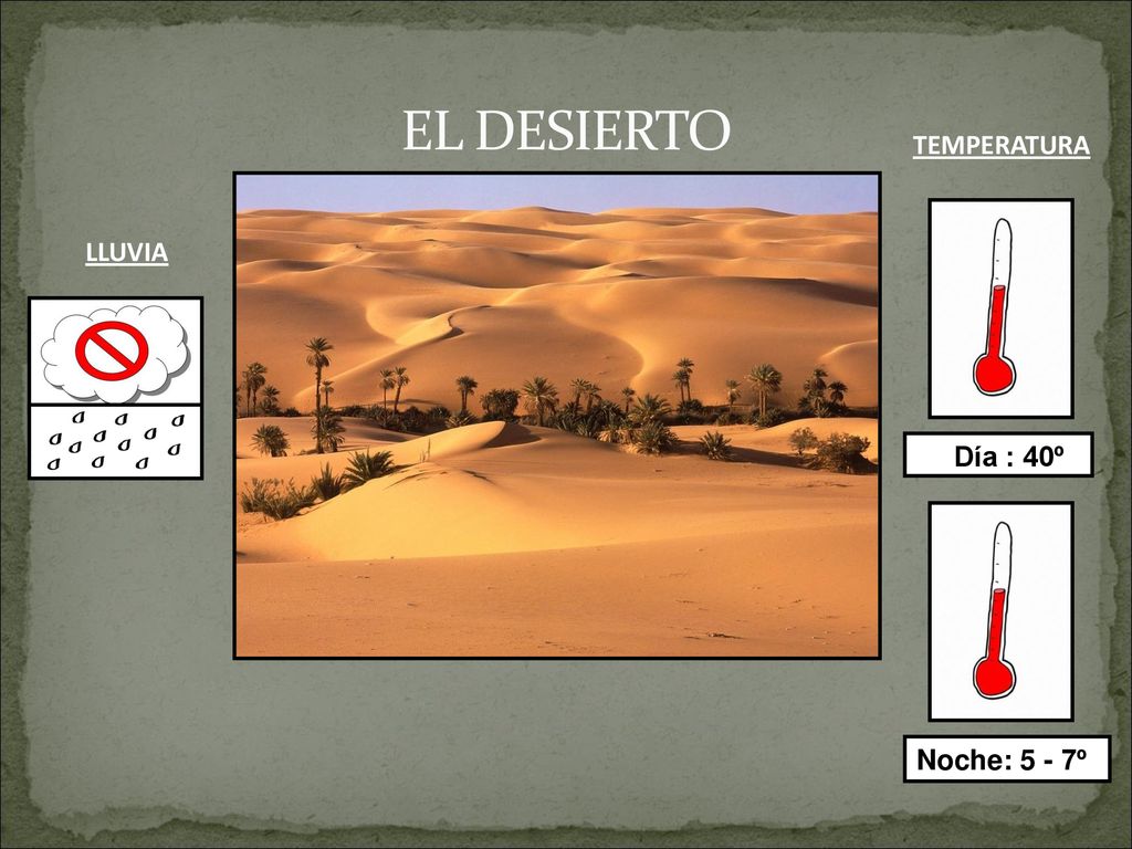 EL DESIERTO TEMPERATURA LLUVIA Día : 40º Noche: 5 - 7º