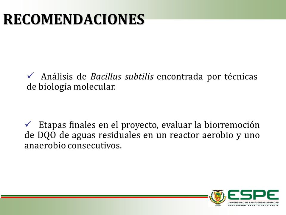 RECOMENDACIONES Análisis de Bacillus subtilis encontrada por técnicas de biología molecular.