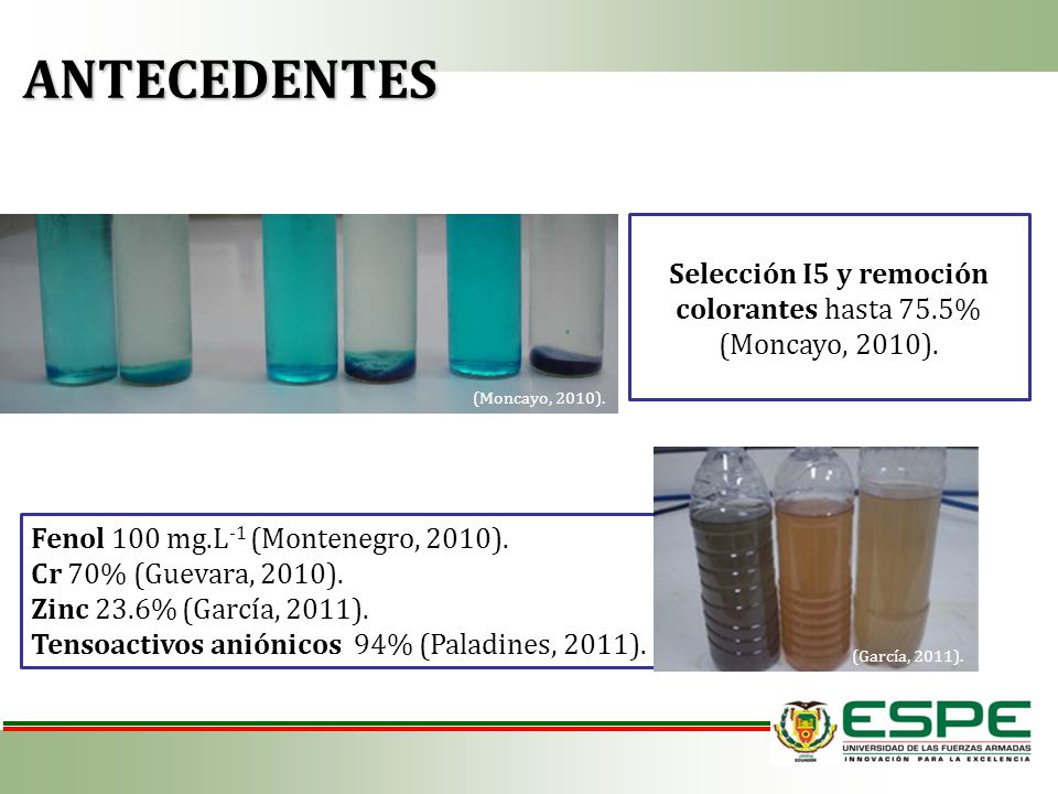 Selección I5 y remoción colorantes hasta 75.5% (Moncayo, 2010).