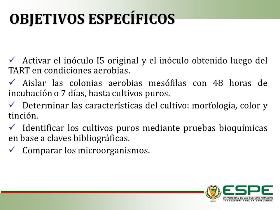 OBJETIVOS ESPECÍFICOS