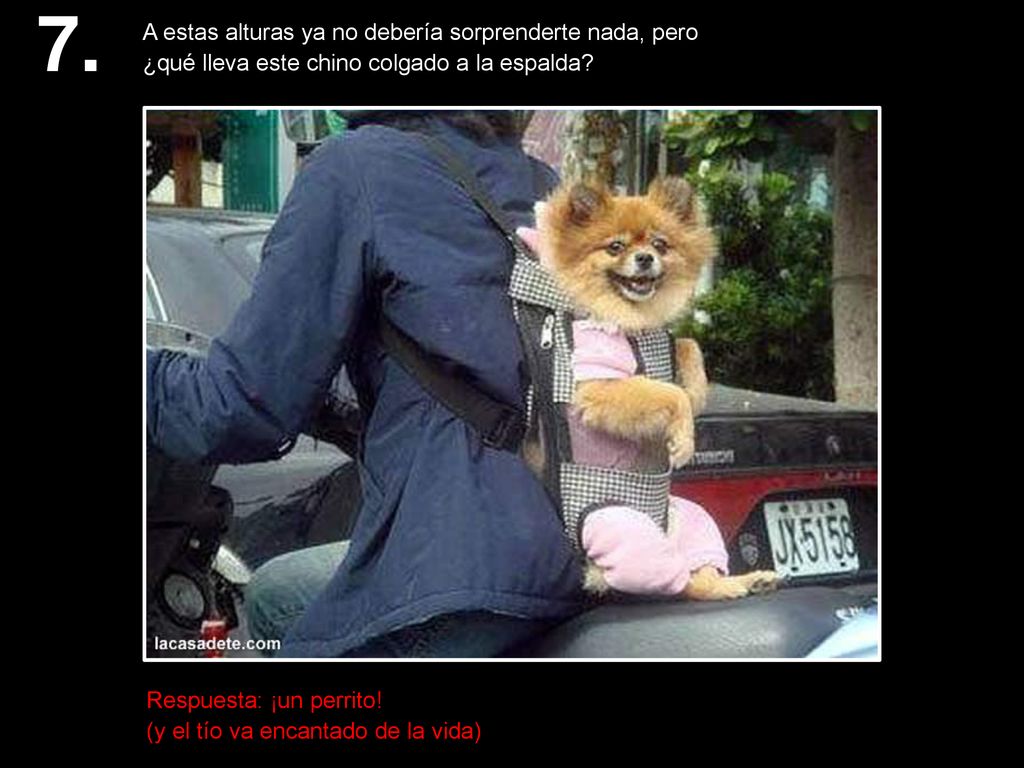 7. A estas alturas ya no debería sorprenderte nada, pero