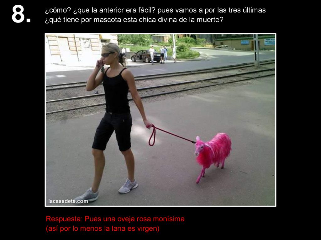 8. ¿cómo ¿que la anterior era fácil pues vamos a por las tres últimas. ¿qué tiene por mascota esta chica divina de la muerte