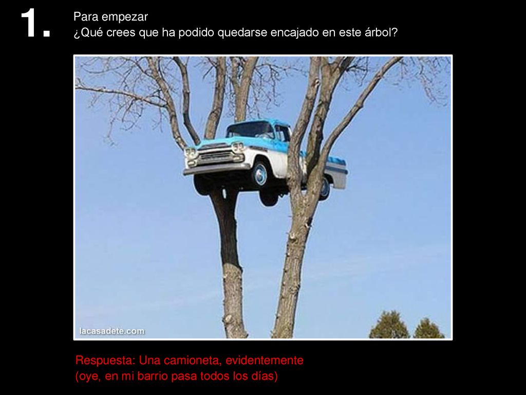 1. Para empezar. ¿Qué crees que ha podido quedarse encajado en este árbol Respuesta: Una camioneta, evidentemente.