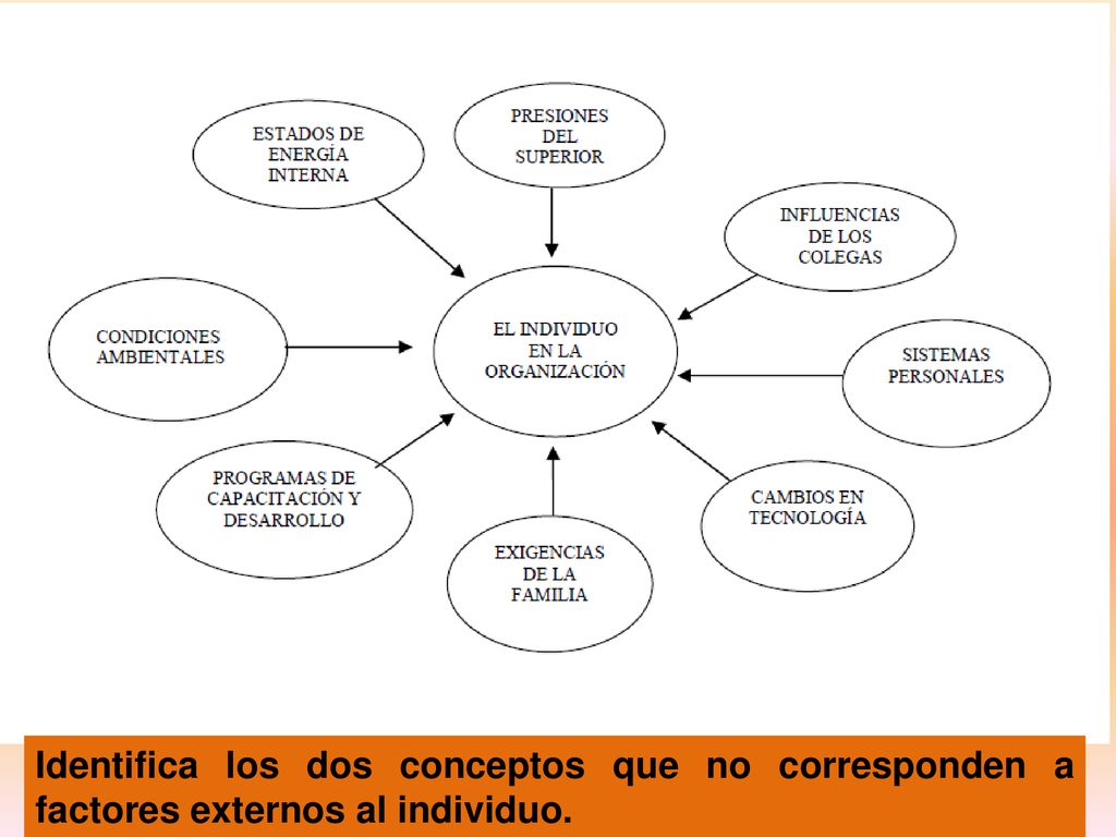 Identifica los dos conceptos que no corresponden a factores externos al individuo.