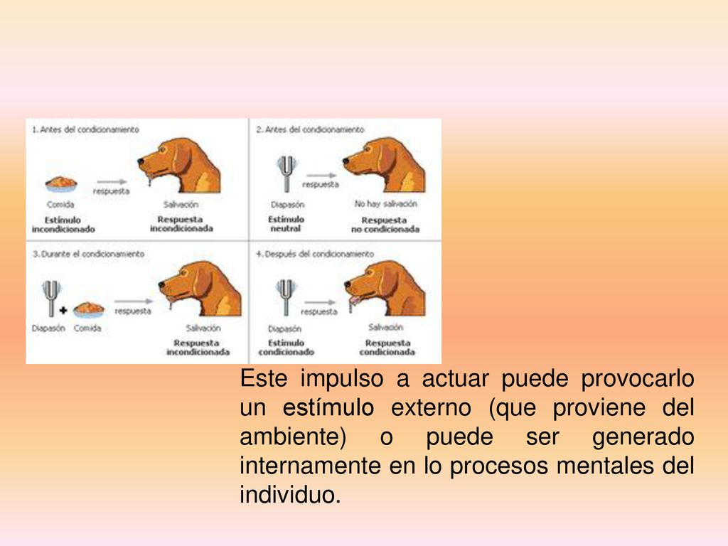 Este impulso a actuar puede provocarlo un estímulo externo (que proviene del ambiente) o puede ser generado internamente en lo procesos mentales del individuo.