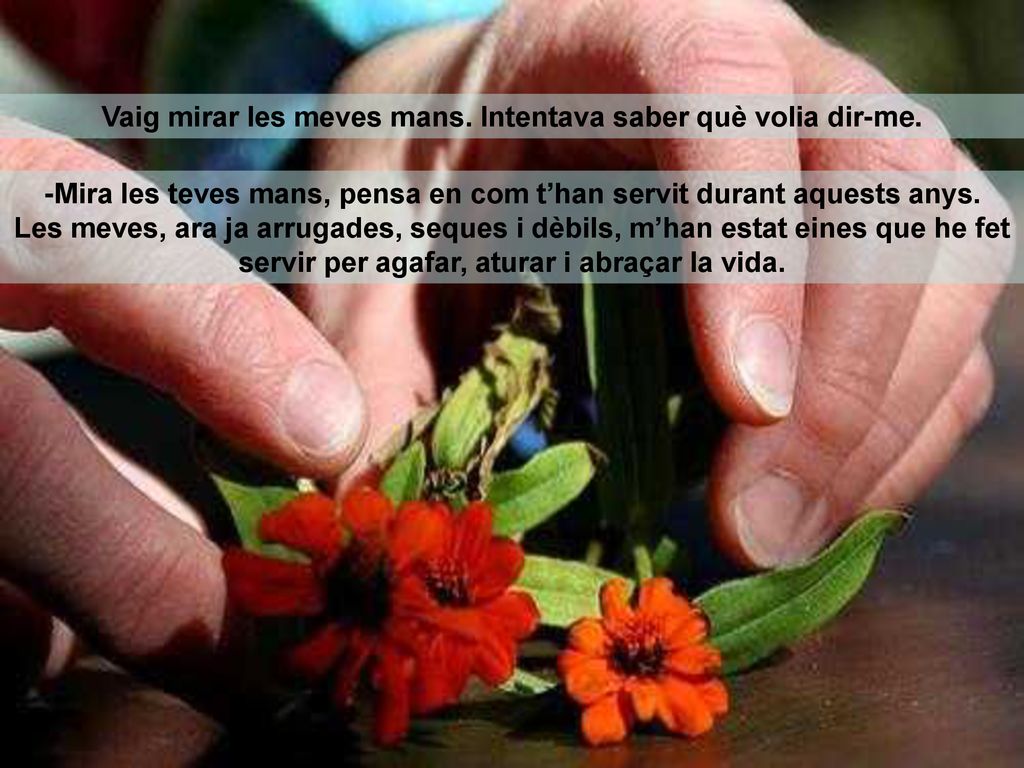 Vaig mirar les meves mans. Intentava saber què volia dir-me.