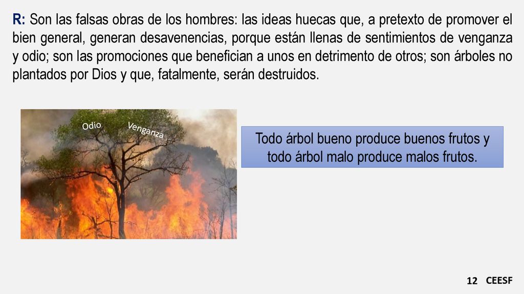 R: Son las falsas obras de los hombres: las ideas huecas que, a pretexto de promover el bien general, generan desavenencias, porque están llenas de sentimientos de venganza y odio; son las promociones que benefician a unos en detrimento de otros; son árboles no plantados por Dios y que, fatalmente, serán destruidos.