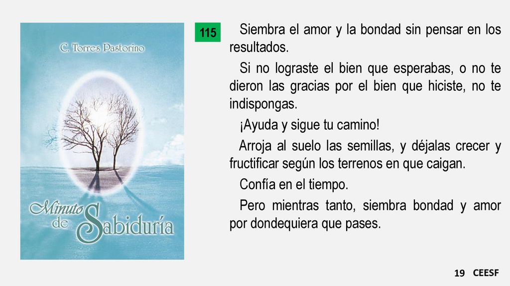 Siembra el amor y la bondad sin pensar en los resultados.