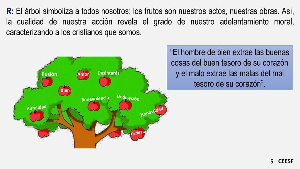 R: El árbol simboliza a todos nosotros; los frutos son nuestros actos, nuestras obras. Así, la cualidad de nuestra acción revela el grado de nuestro adelantamiento moral, caracterizando a los cristianos que somos.