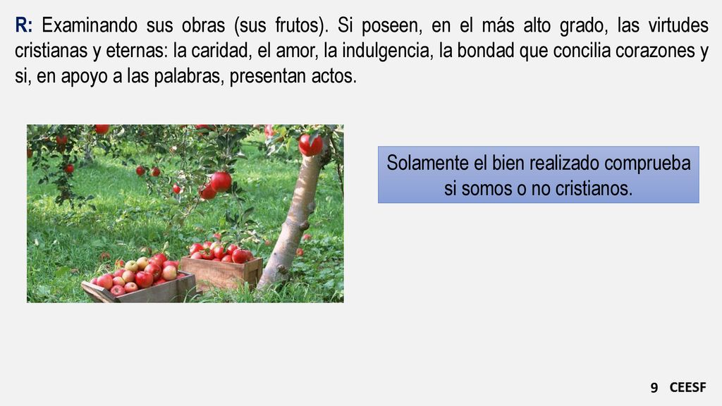 Solamente el bien realizado comprueba si somos o no cristianos.
