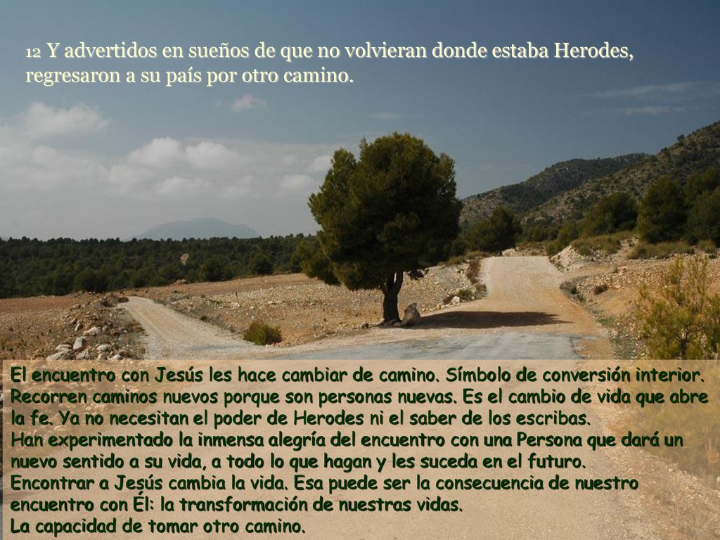 12 Y advertidos en sueños de que no volvieran donde estaba Herodes, regresaron a su país por otro camino.