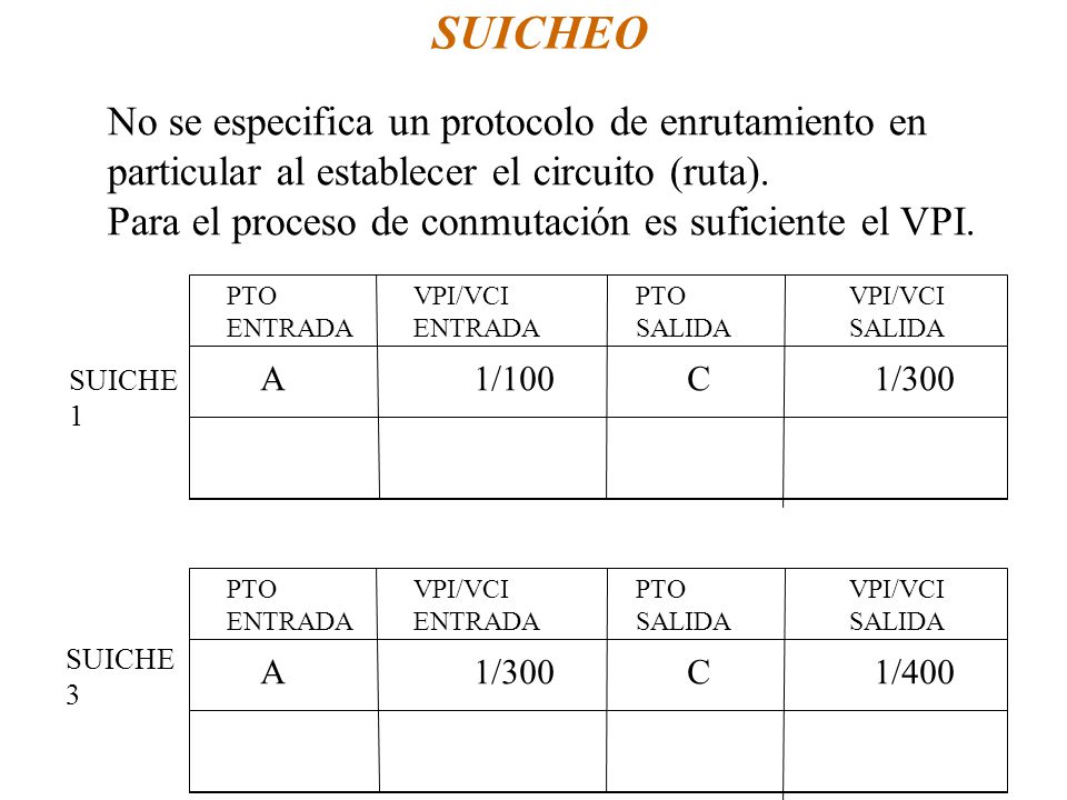 SUICHEO No se especifica un protocolo de enrutamiento en particular al establecer el circuito (ruta).