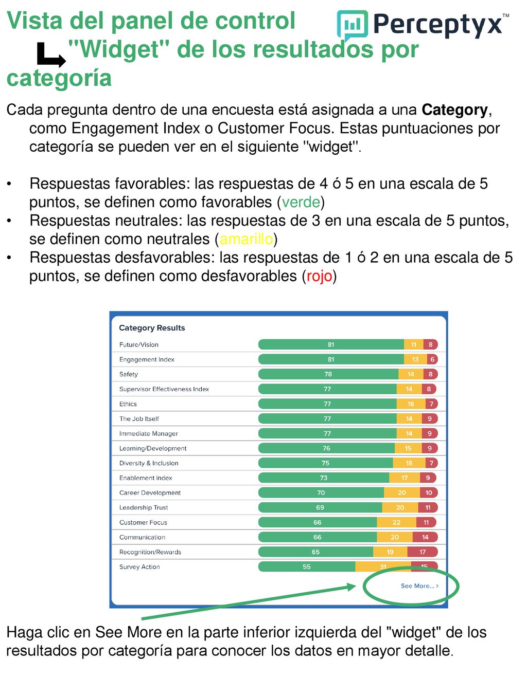 Vista del panel de control Widget de los resultados por categoría