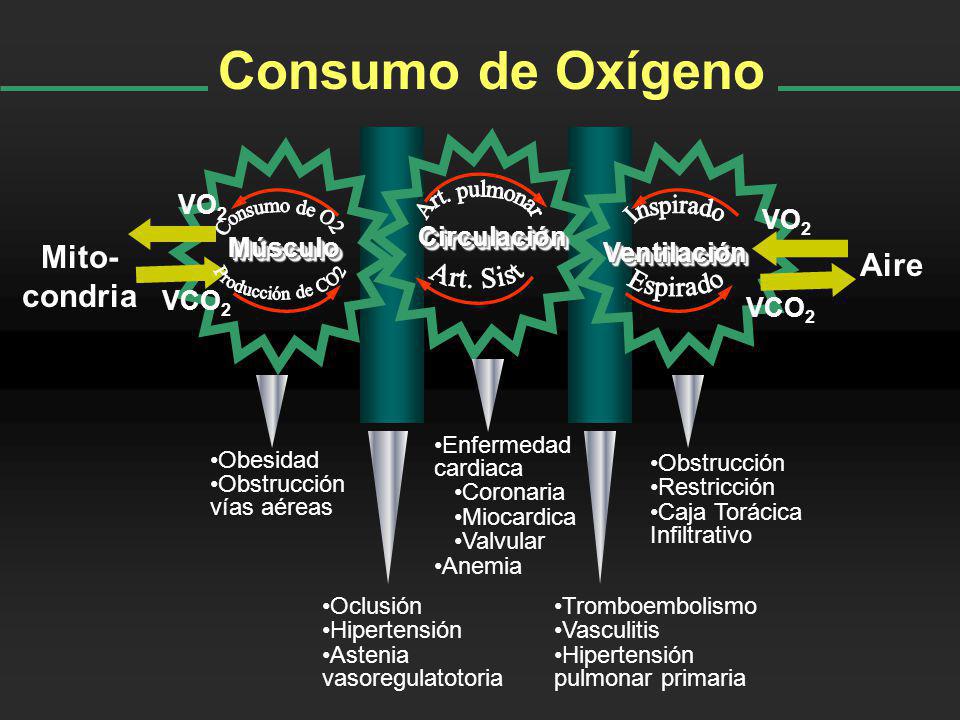 Consumo de Oxígeno Art. pulmonar Consumo de O2 Producción de CO2