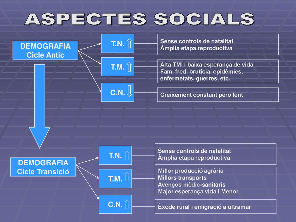 ASPECTES SOCIALS T.N. DEMOGRAFIA Cicle Antic T.M. C.N. T.N. DEMOGRAFIA