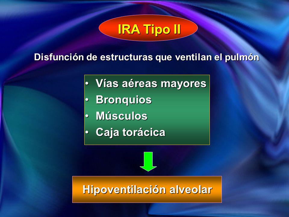 IRA Tipo II Vías aéreas mayores Bronquios Músculos Caja torácica