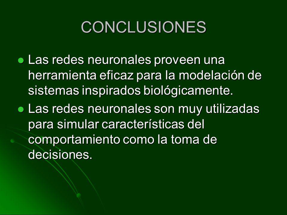 CONCLUSIONES Las redes neuronales proveen una herramienta eficaz para la modelación de sistemas inspirados biológicamente.