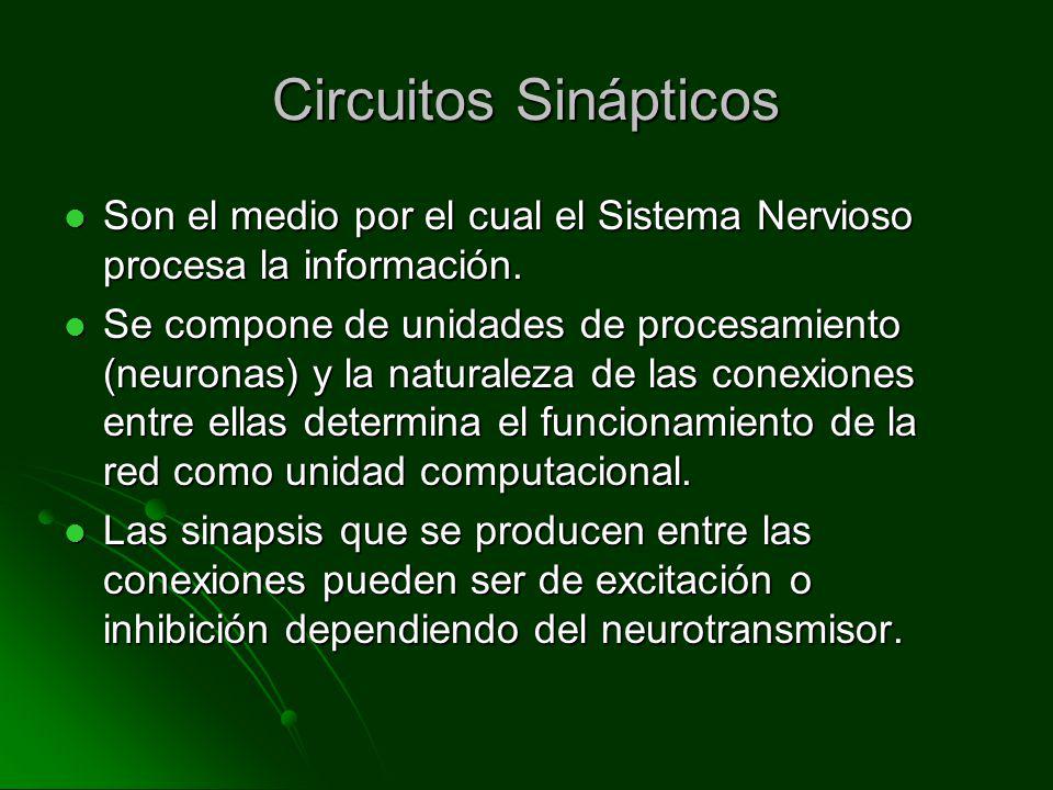 Circuitos Sinápticos Son el medio por el cual el Sistema Nervioso procesa la información.