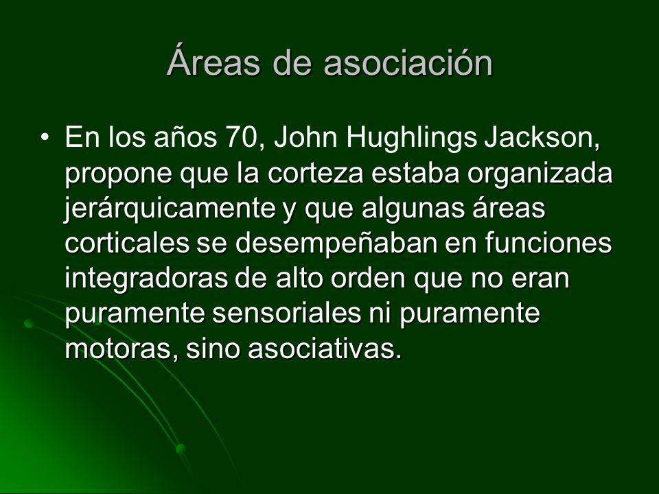 Áreas de asociación