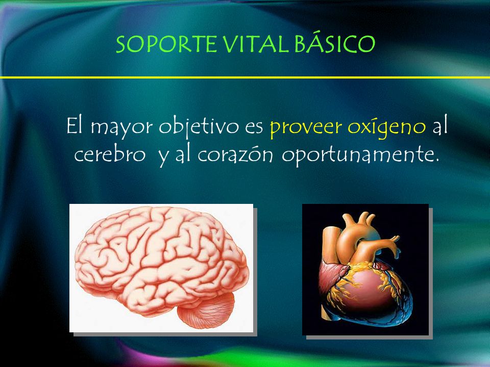 SOPORTE VITAL BÁSICO El mayor objetivo es proveer oxígeno al cerebro y al corazón oportunamente.