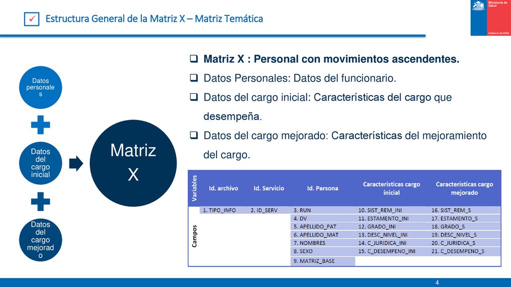 Matriz X Estructura General de la Matriz X – Matriz Temática