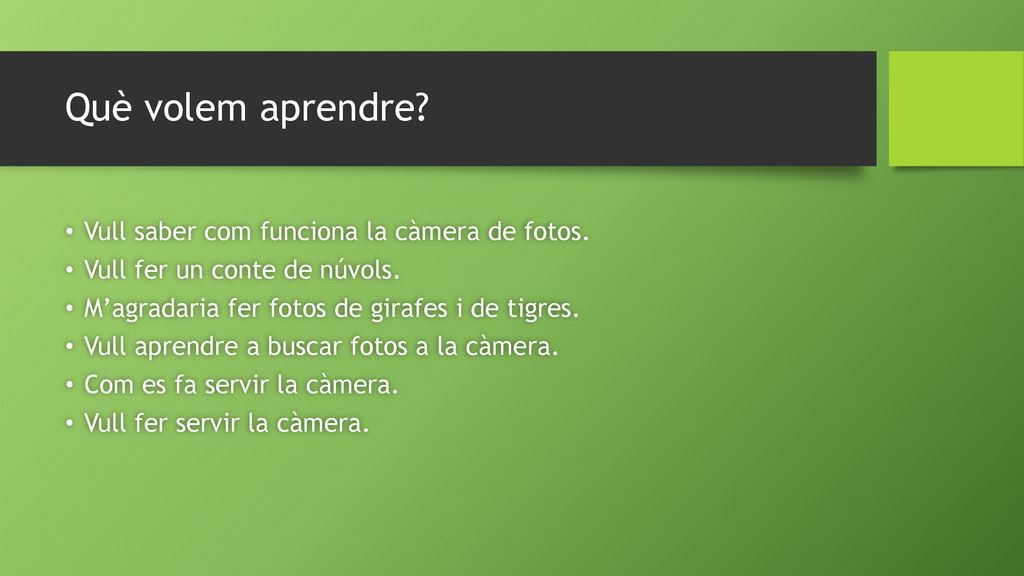 Què volem aprendre Vull saber com funciona la càmera de fotos.