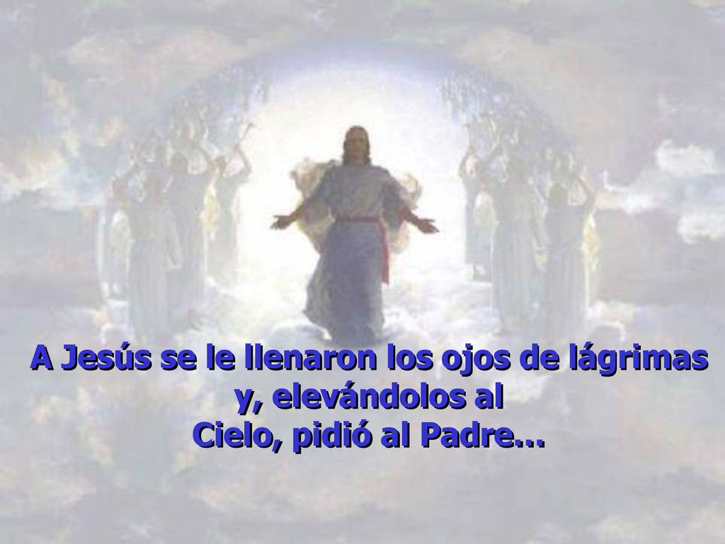 A Jesús se le llenaron los ojos de lágrimas y, elevándolos al Cielo, pidió al Padre…
