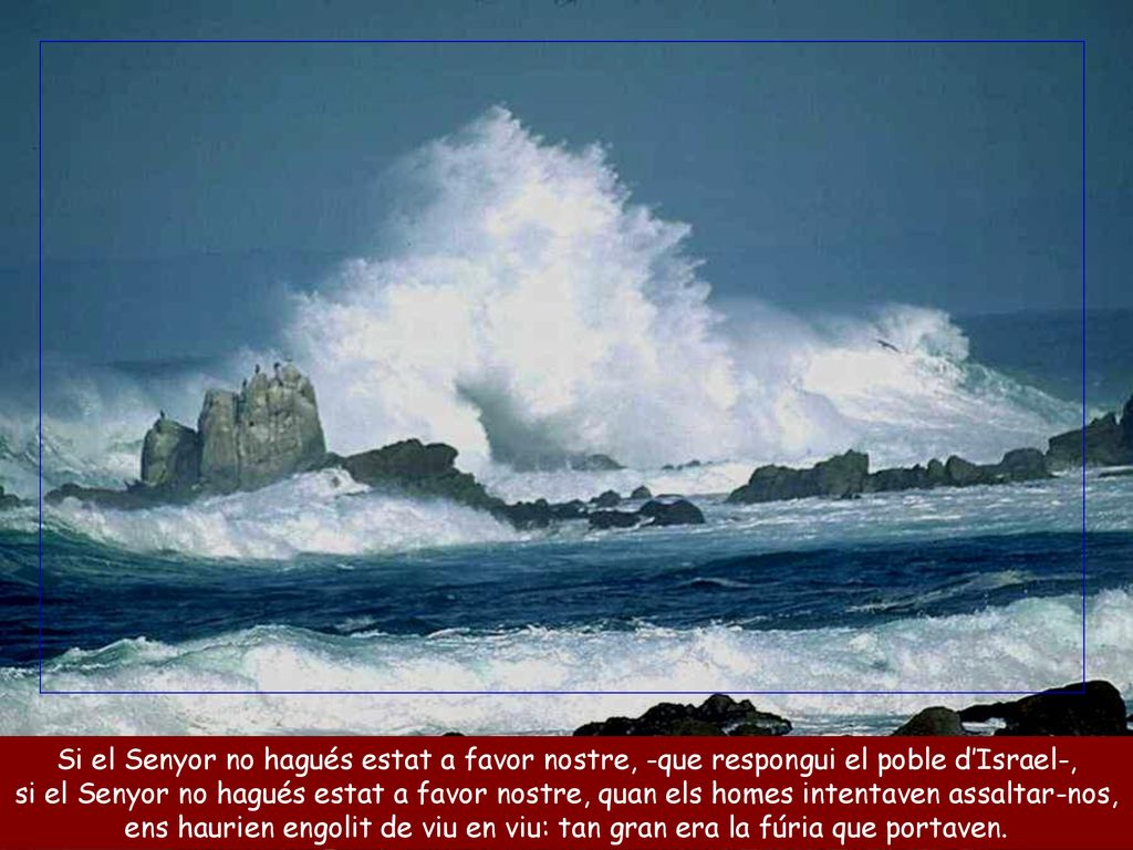 ens haurien engolit de viu en viu: tan gran era la fúria que portaven.