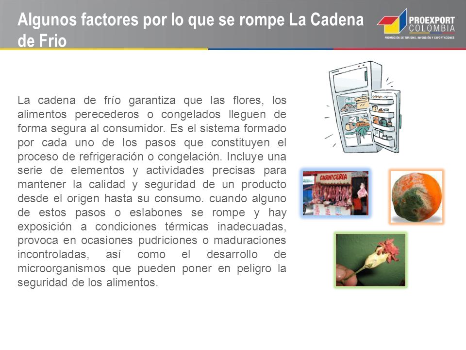 Algunos factores por lo que se rompe La Cadena de Frio