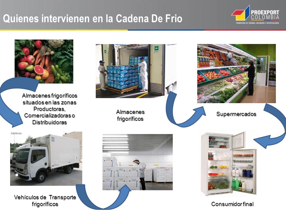 Quienes intervienen en la Cadena De Frio