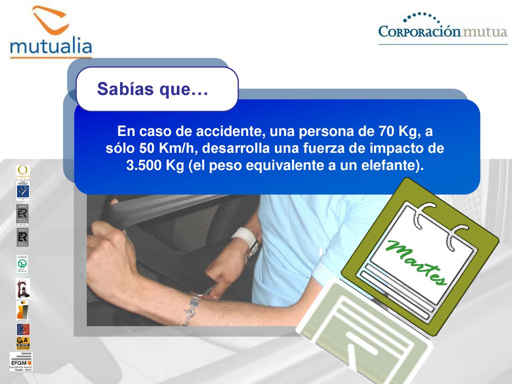 En caso de accidente, una persona de 70 Kg, a sólo 50 Km/h, desarrolla una fuerza de impacto de Kg (el peso equivalente a un elefante).