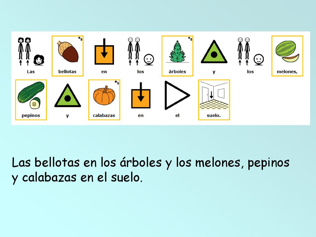 Las bellotas en los árboles y los melones, pepinos y calabazas en el suelo.