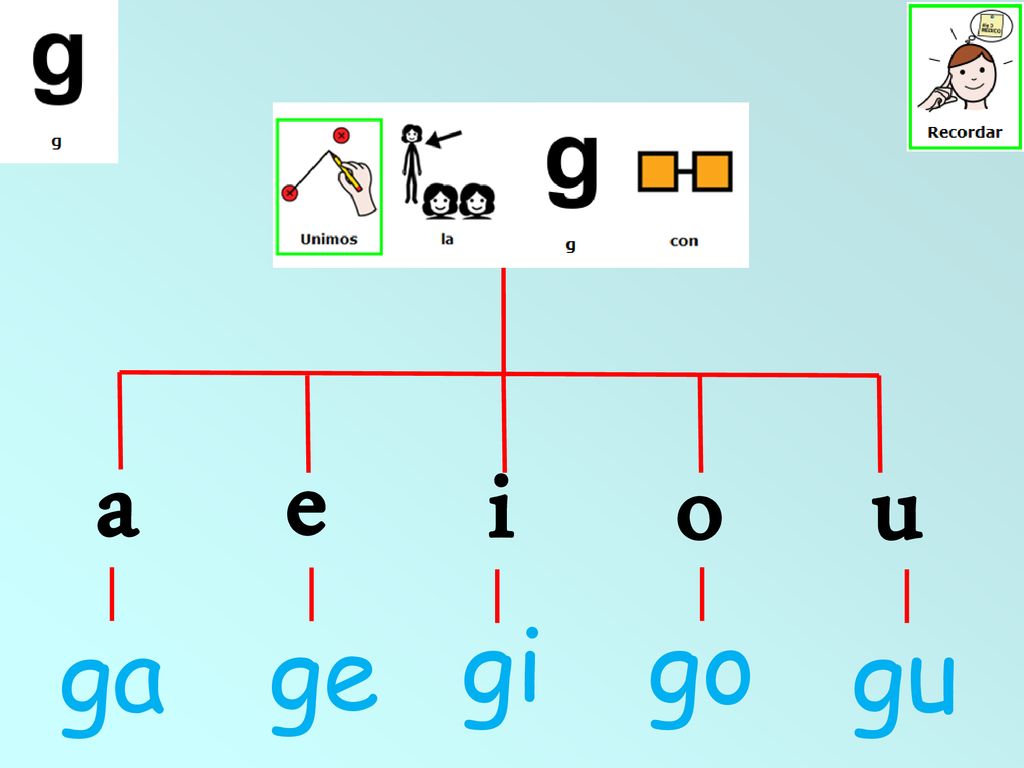 a e o u i gi go ga ge gu