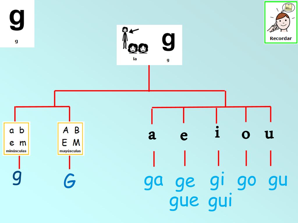 i a e o u g ga ge gi go gu G gue gui