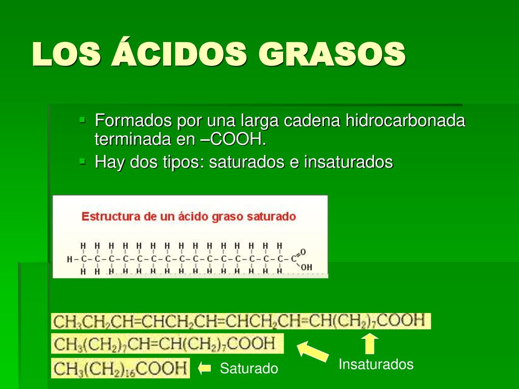 LOS ÁCIDOS GRASOS Formados por una larga cadena hidrocarbonada terminada en –COOH. Hay dos tipos: saturados e insaturados.