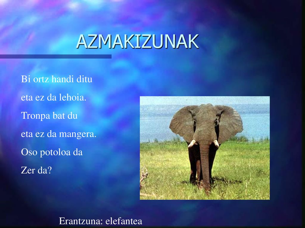 AZMAKIZUNAK Bi ortz handi ditu eta ez da lehoia. Tronpa bat du