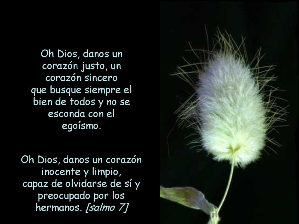 Oh Dios, danos un corazón justo, un corazón sincero
