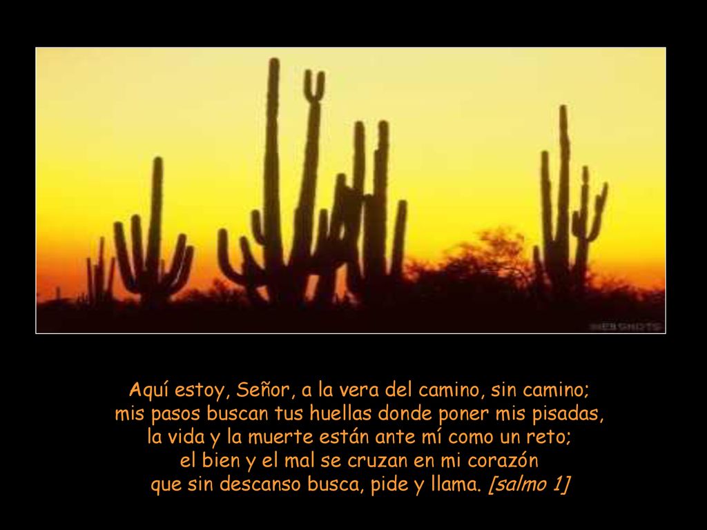 Aquí estoy, Señor, a la vera del camino, sin camino;