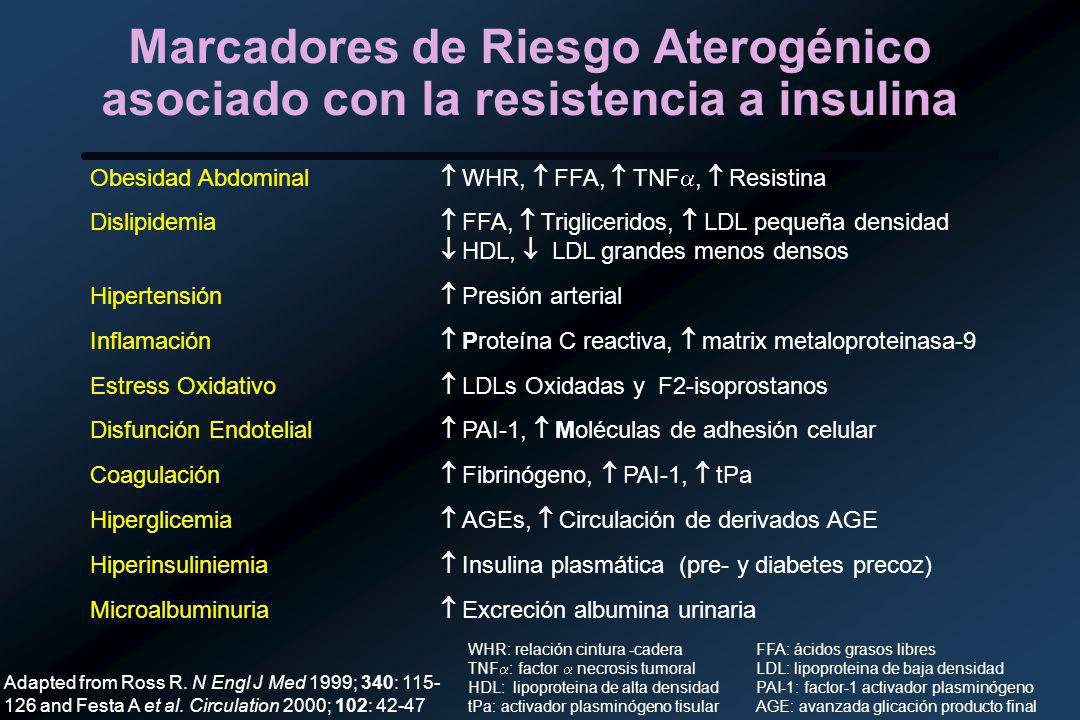 Marcadores de Riesgo Aterogénico asociado con la resistencia a insulina