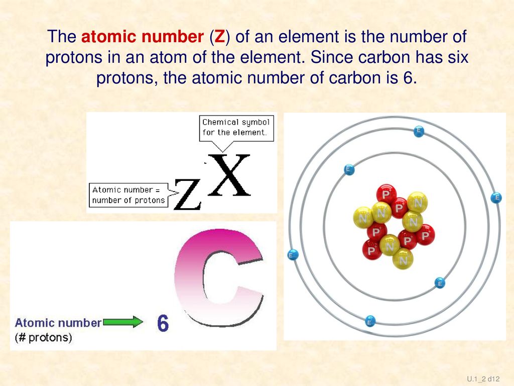 The atomic number (Z) of an element is the number of