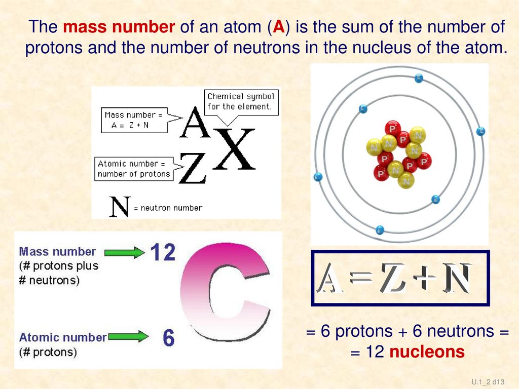 The mass number of an atom (A) is the sum of the number of protons and the number of neutrons in the nucleus of the atom.
