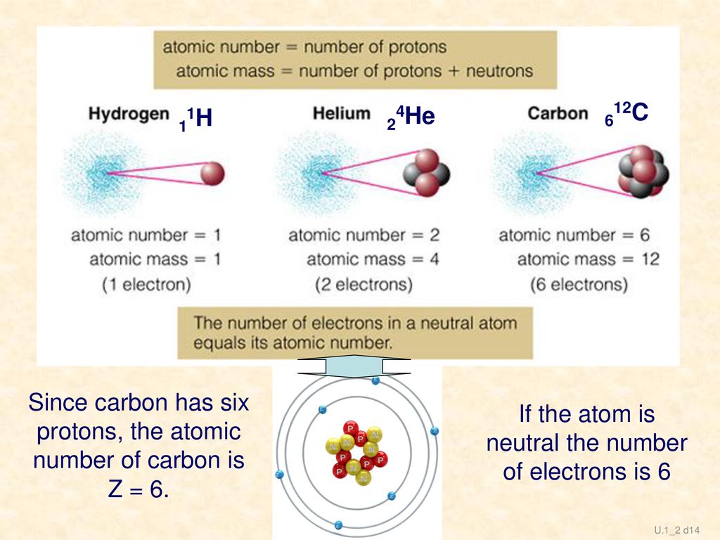 protons, the atomic number of carbon is Z = 6.