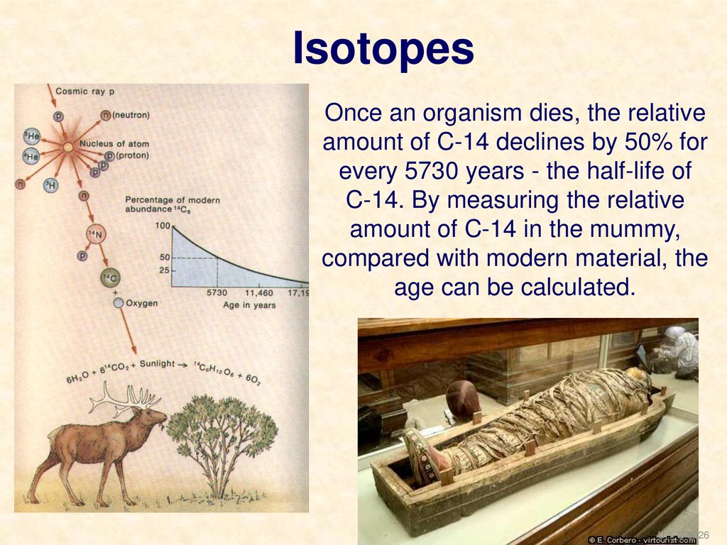 Isotopes Once an organism dies, the relative amount of C-14 declines by 50% for every 5730 years - the half-life of.