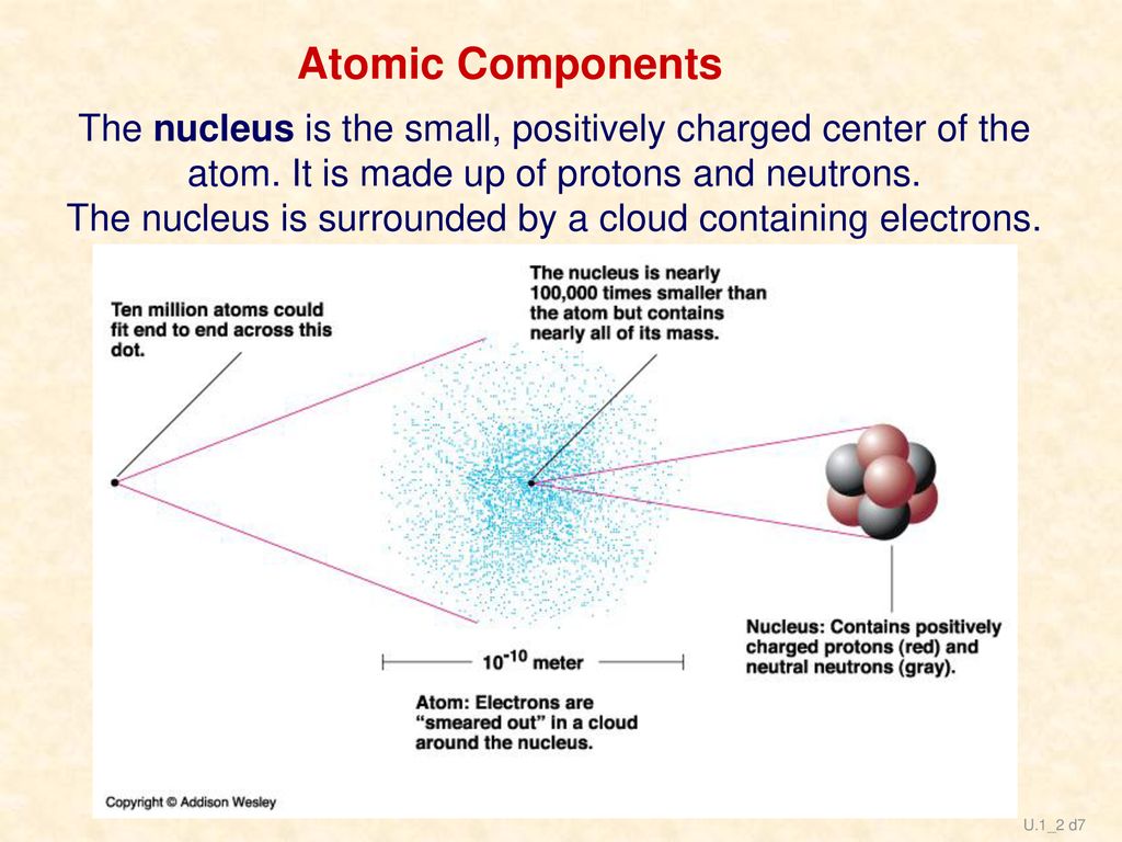 Atomic Components The nucleus is the small, positively charged center of the. atom. It is made up of protons and neutrons.