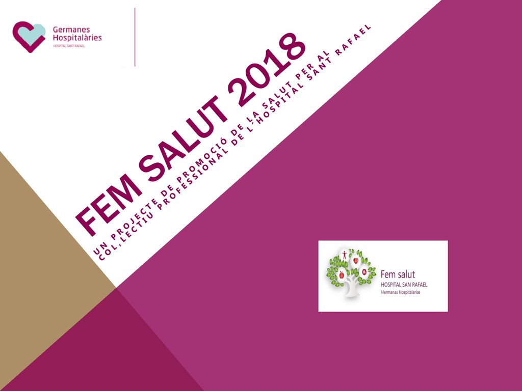 FEM SaluT 2018 UN PROJECTE DE PROMOCIÓ DE LA SaluT PER AL COL,LECTIU PROFESSIONAL DE L´HOSPITAL SANT RAFAEL.
